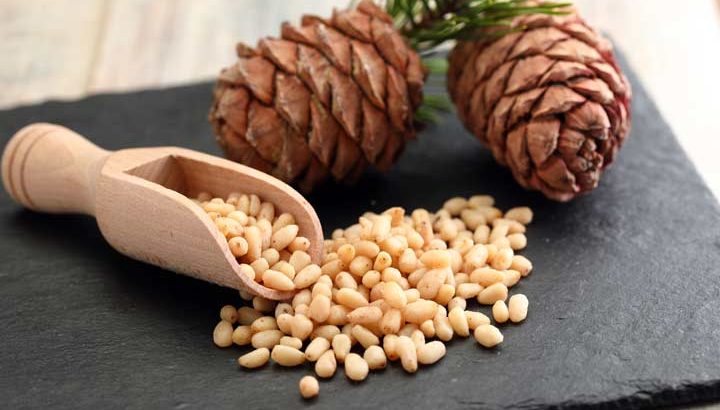 حفظ سلامت مغز با چلغوز دانه کاج