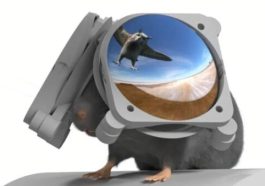 تکنا