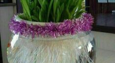 نحوه تهیه سبزه ذرت در تنگ ماهی و آب مجلسی و قشنگ برای سفره هفت سین 2 طرز تهیه سبزه ذرت