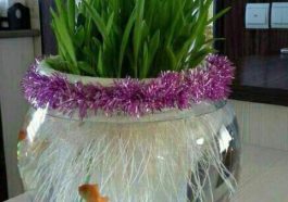 طرز تهیه سبزه ذرت