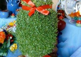 طرز تهیه سبزه شاهی