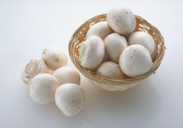 خواص قارچ سفید خوراکی + شیوه‌ها و نکات مهم مصرف قارچ سفید