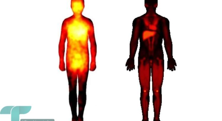 محل دقیق تجربه احساساتی مانند عشق از گذشته تاکنون تغییر کرده است